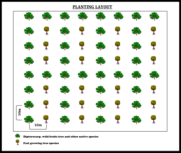Planting concept of the Bukit Piton site