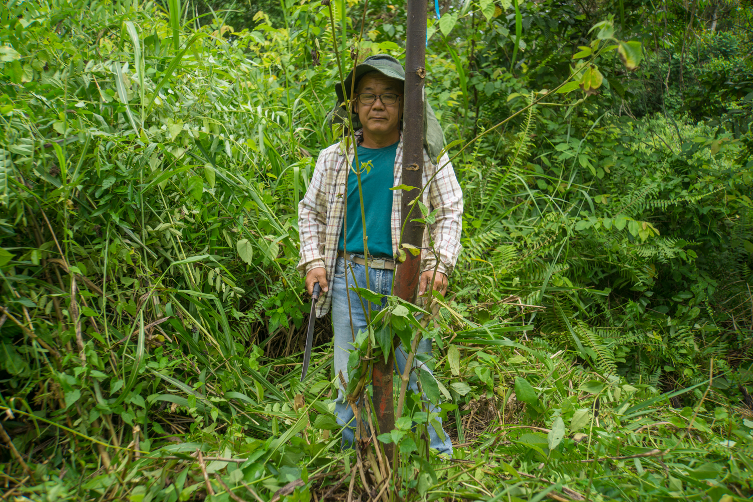 Mr Hoe Kontraktor in Bukit Piton