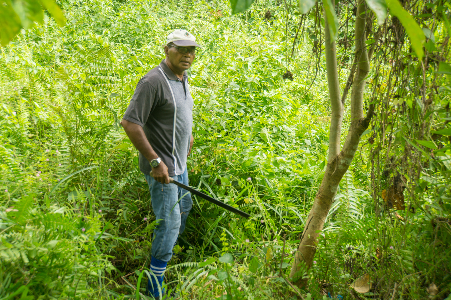 Mr Simon Kontraktor in Bukit Piton